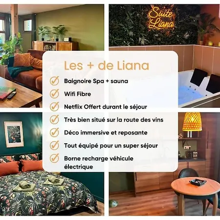 Suite Liana - Spa- Sauna Rorschwihr Exterior photo