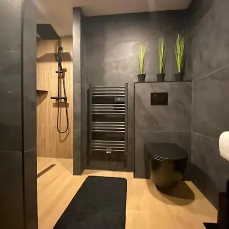 Suite Liana - Spa- Sauna Rorschwihr Exterior photo